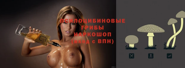 спайс Магадан