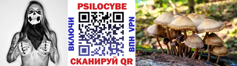 купить закладку  Нижний Тагил  kraken как войти  Псилоцибиновые грибы MAGIC MUSHROOMS 
