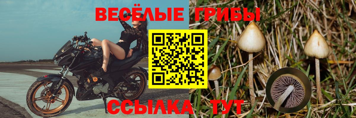 Галлюциногенные грибы MAGIC MUSHROOMS  купить закладку  Нижний Тагил  Вход с VPN 